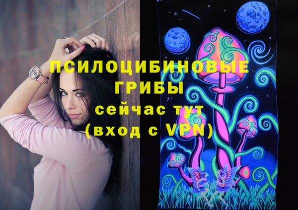 СК Алексеевка